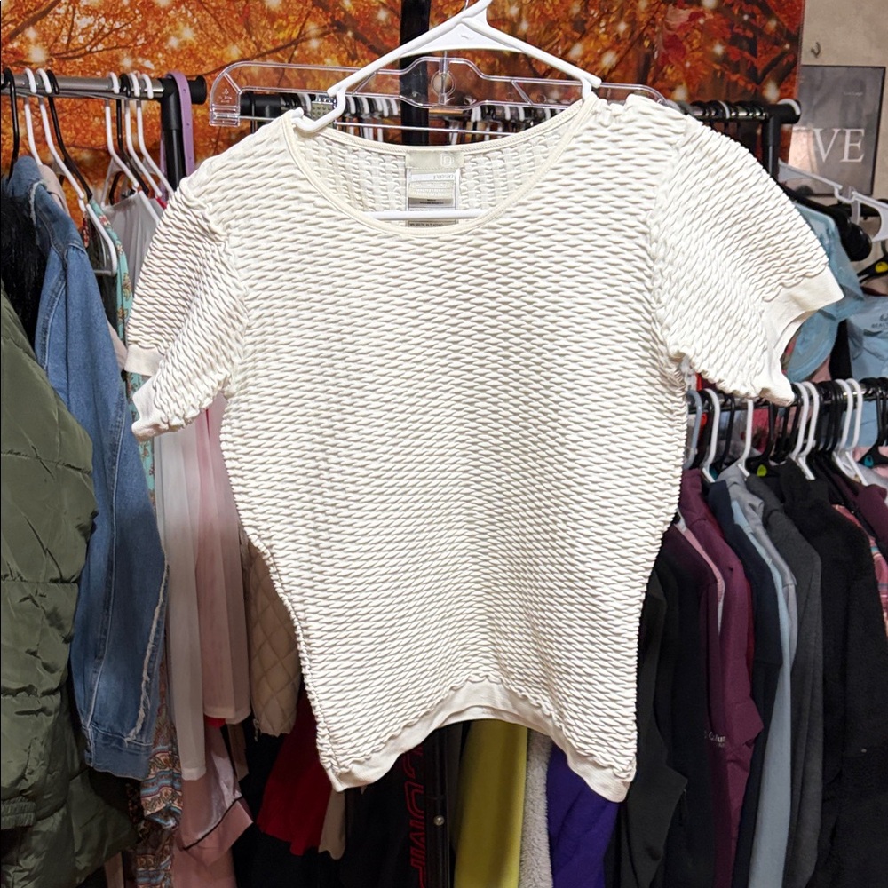 Elegant Cream Short Sleeve Textured Top